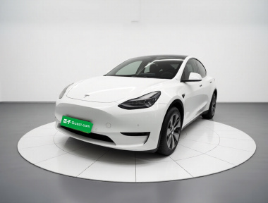 Tesla Model Y 2022 car image 
