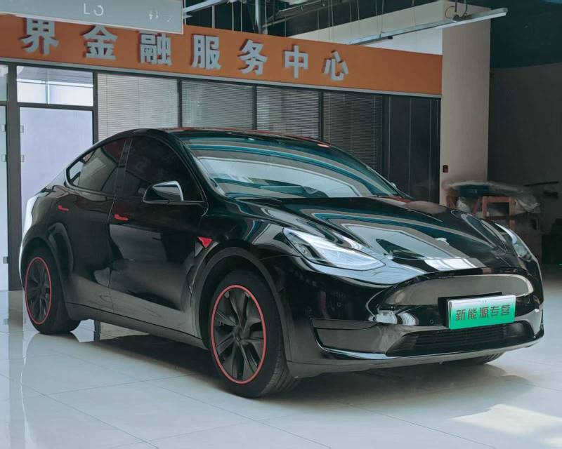 Tesla Model Y 2023 car image #2
