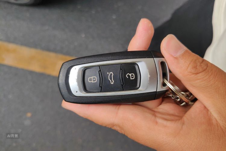 GEELY Emgrand GS 2019 immagine di auto #10