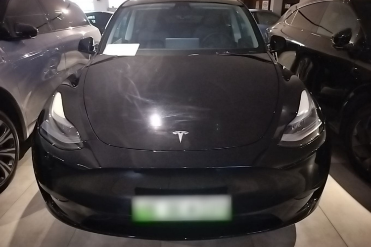 Tesla Model Y 2023 #3 Tesla Model Y 2023 car image #3