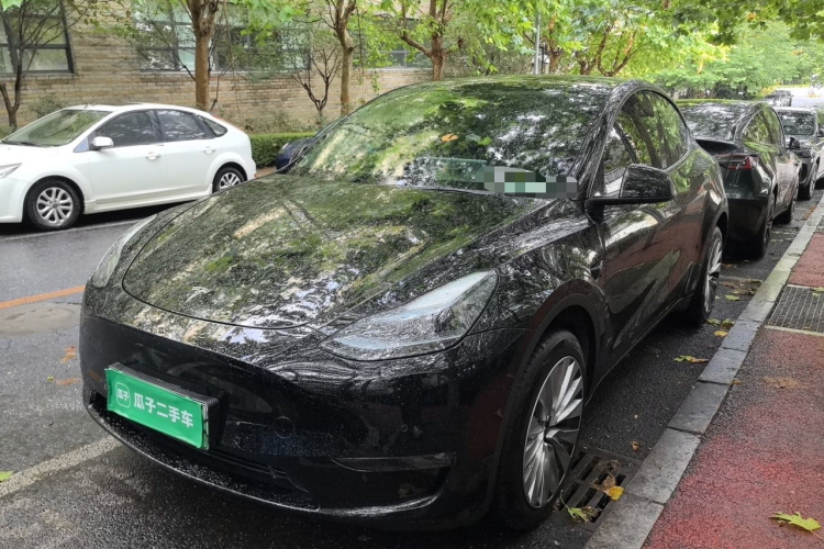 Tesla Model Y 2024 immagine di auto #2