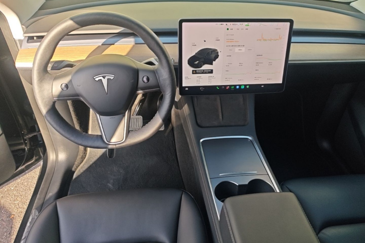 Tesla Model Y 2021 #10 Tesla Model Y 2021 car image #10