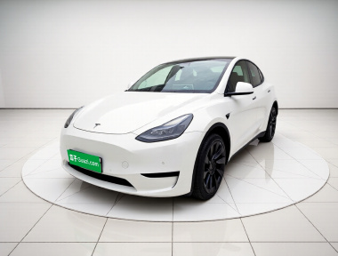 Tesla Model Y 2022 Tesla Model Y 2022 car image