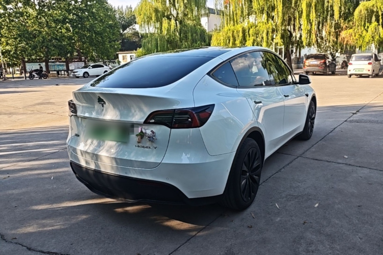 Tesla Model Y 2023 immagine di auto #7