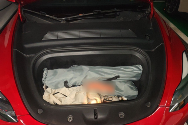 Tesla Model Y 2021 car image #22
