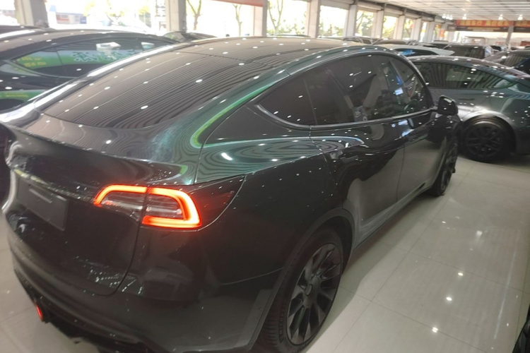 Tesla Model Y 2023 #7 Tesla Model Y 2023 car image #7