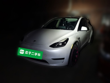 Tesla Model Y 2022 Tesla Model Y 2022 car image