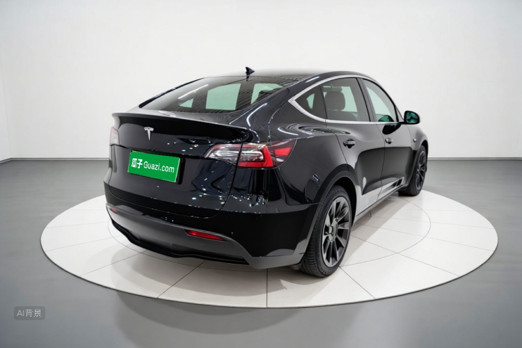 Tesla Model Y 2021 car image #7
