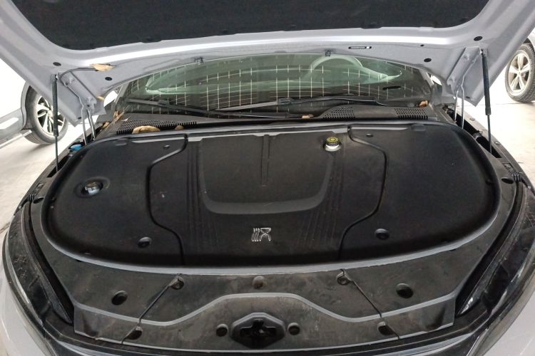 BYD Han 2024 imagen de coche #20