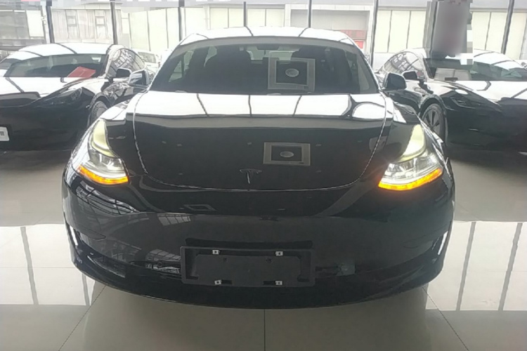 Tesla Model 3 2023 #3 Tesla Model 3 2023 car image #3