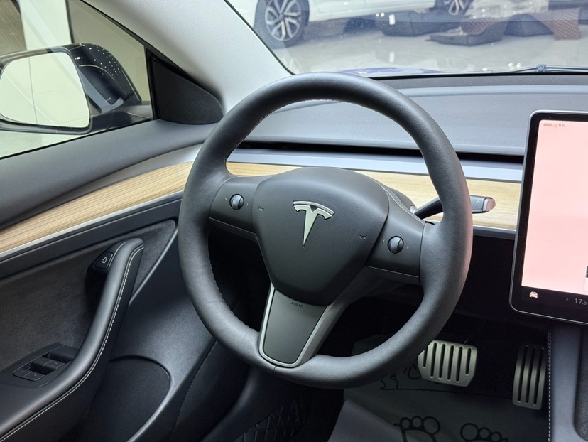 Tesla Model 3 2023 car image #5