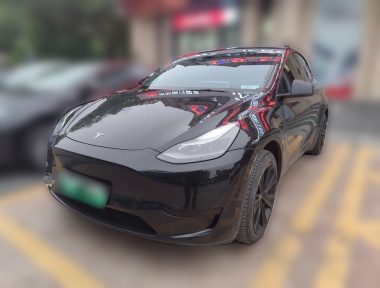 Tesla Model Y 2023 Tesla Model Y 2023 car image