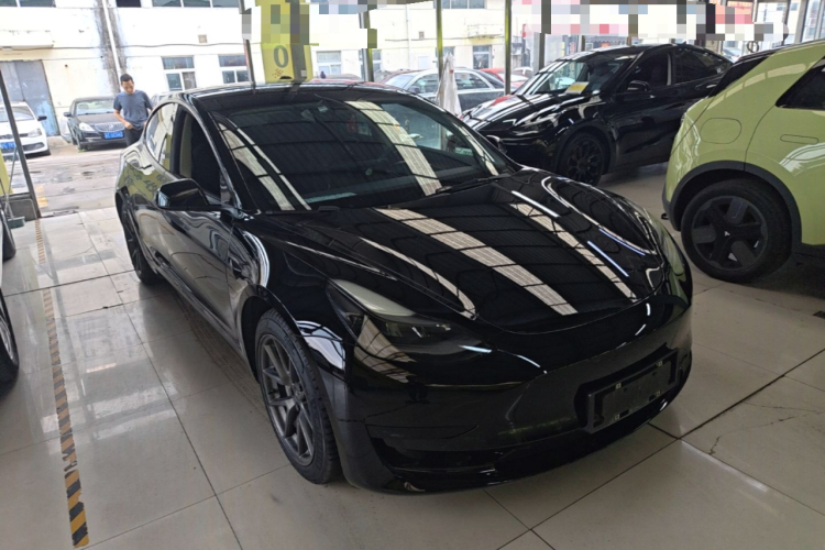 Tesla Model 3 2021 #4 Tesla Model 3 2021 car image #4