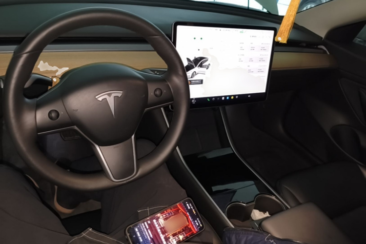 Tesla Model 3 2020 car image #10