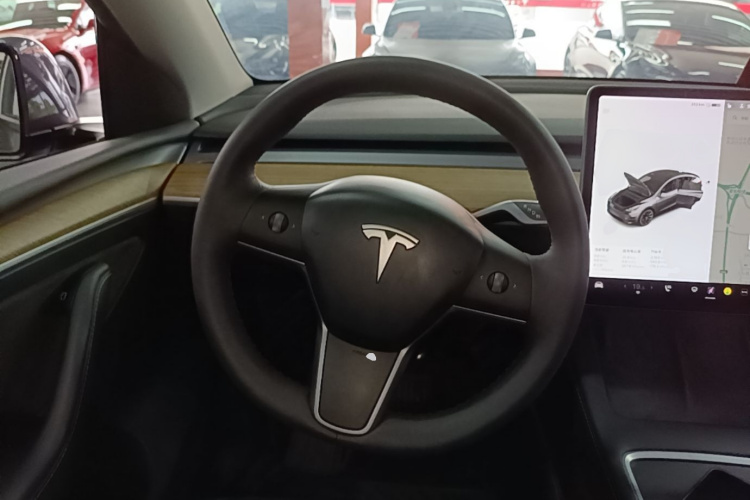 Tesla Model Y 2021 #11 Tesla Model Y 2021 car image #11