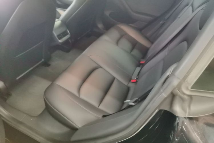 Tesla Model 3 2021 #13 Tesla Model 3 2021 car image #13