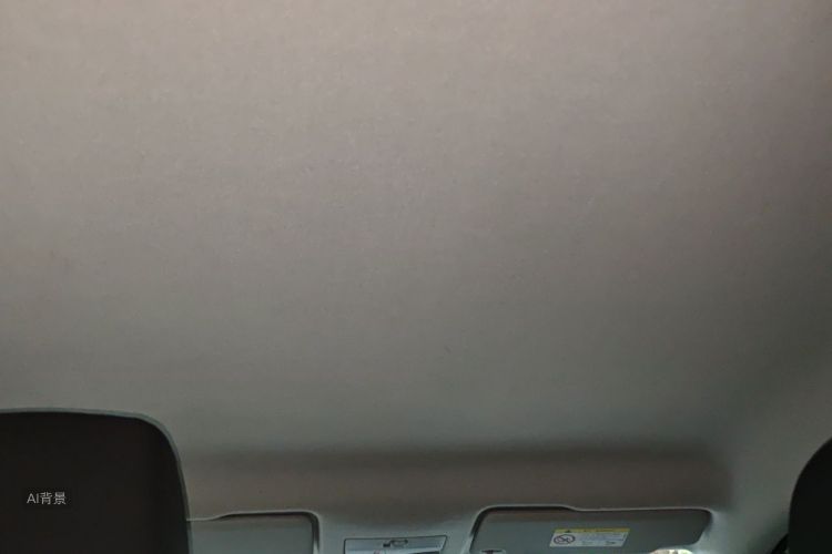 Volkswagen Santana 2022 car image #20