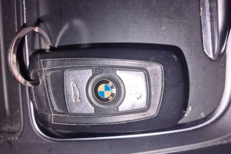 BMW 3 Series 2017 car image #10