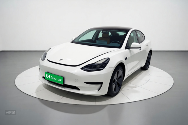 Tesla Model 3 2022 car image #2