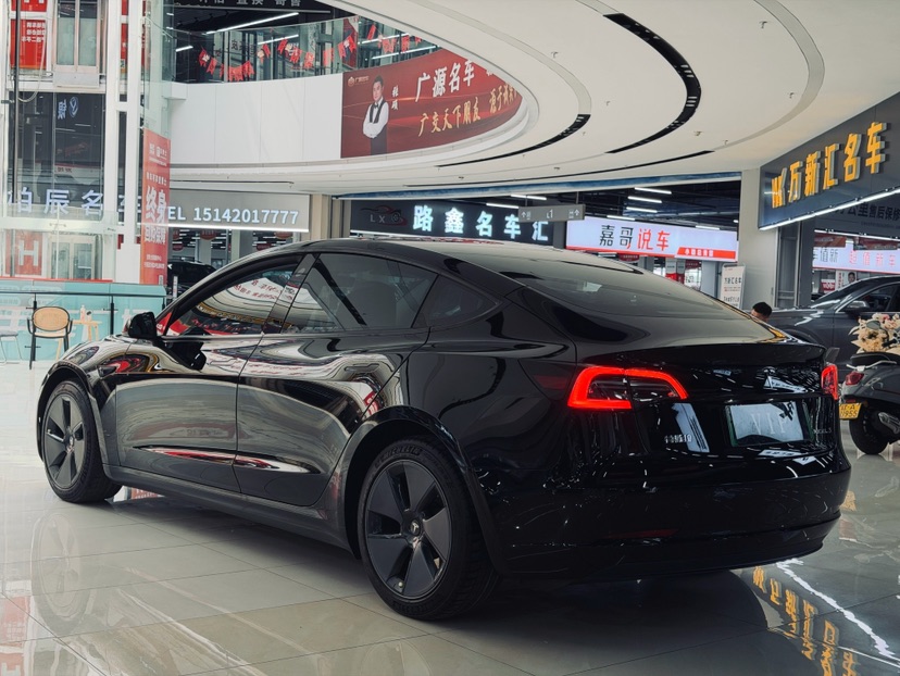 Tesla Model 3 2021 #9 Tesla Model 3 2021 car image #9