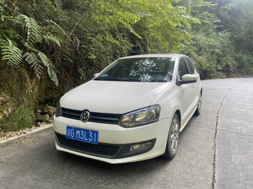 Volkswagen Polo 2011 car image 