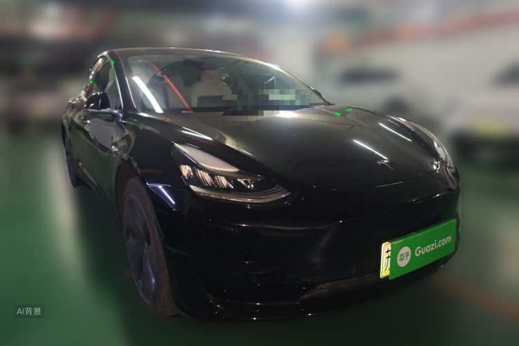 Tesla Model 3 2020 car image #4