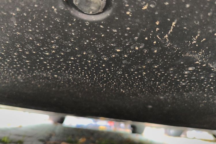 Tesla Model 3 2022 car image #24