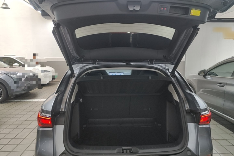 BYD Yuan Plus 2022 car image #19