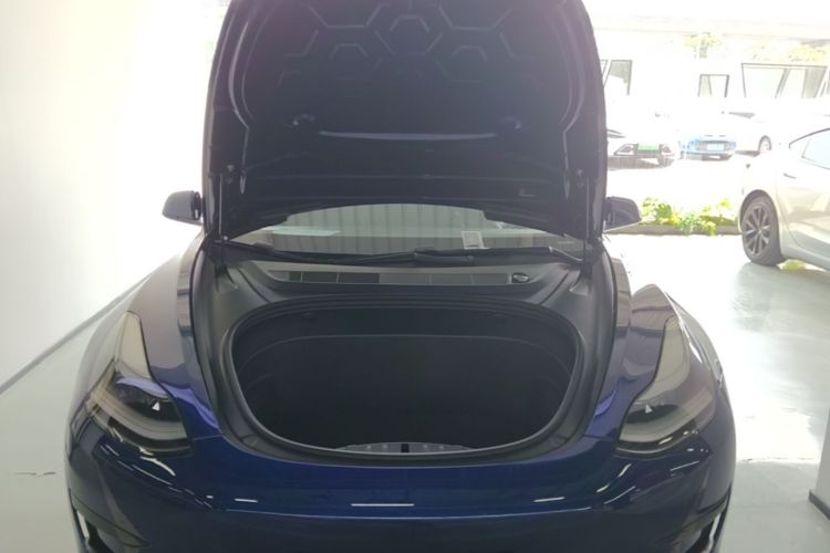 Tesla Model 3 2021 #22 Tesla Model 3 2021 car image #22