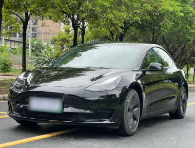 Tesla Model 3 2022 car image 