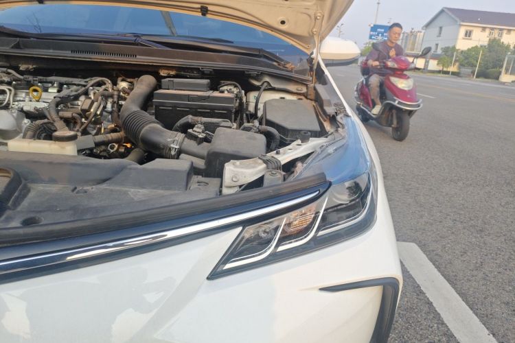 Toyota Corolla 2020 car image #23