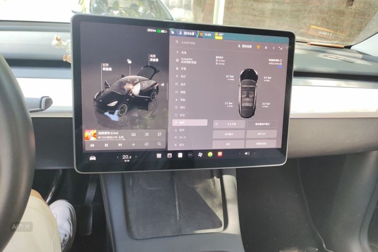 Tesla Model Y 2023 #15 Tesla Model Y 2023 car image #15