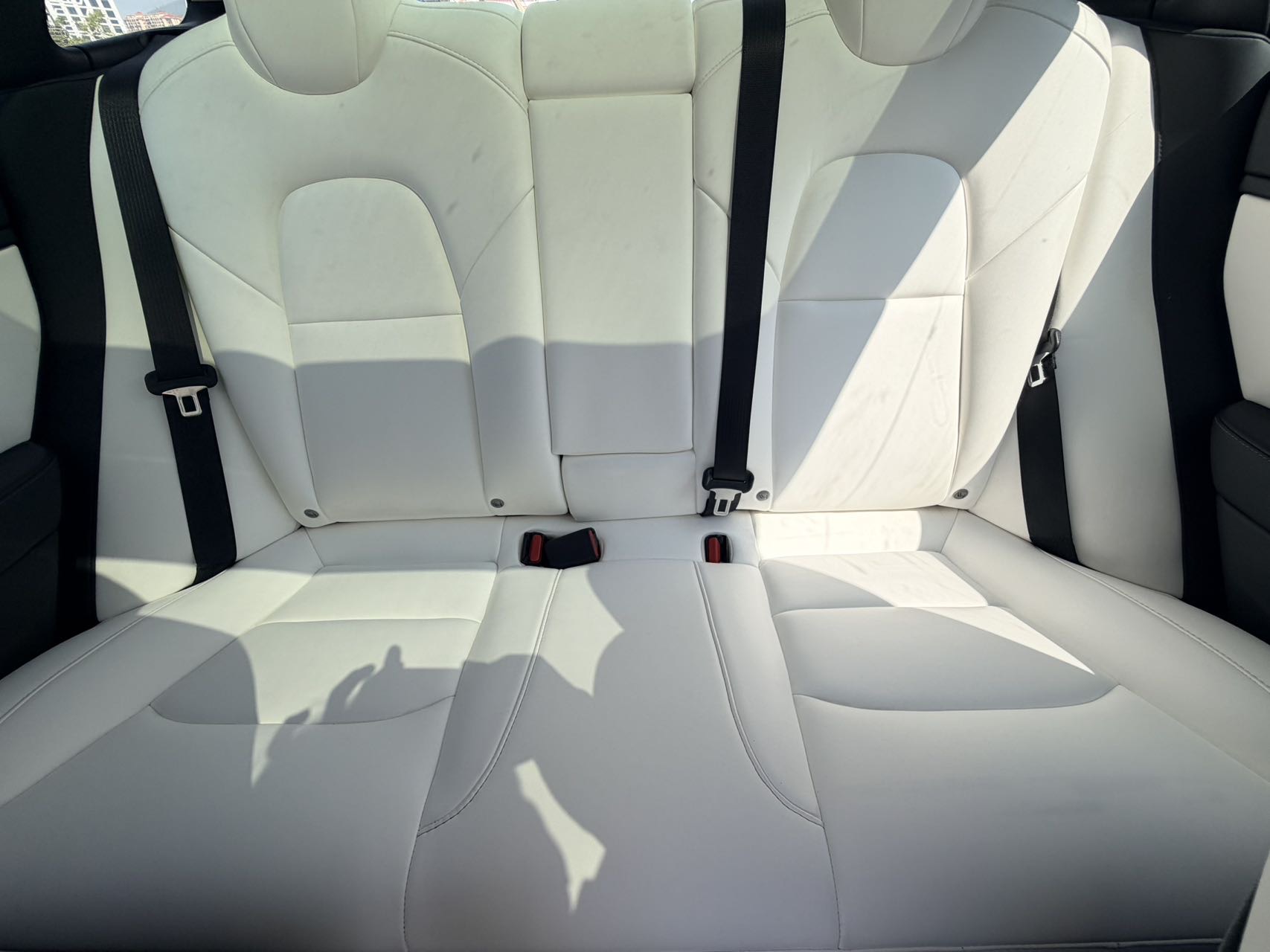 特斯拉 Model 3(进口) 2019 汽车图片 #11