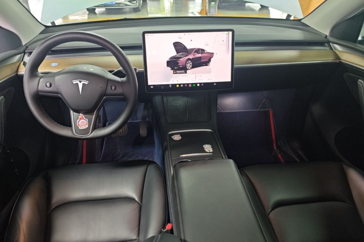 Tesla Model Y 2022 immagine di auto #10