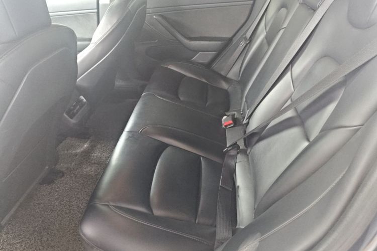 Tesla Model 3 2020 car image #17