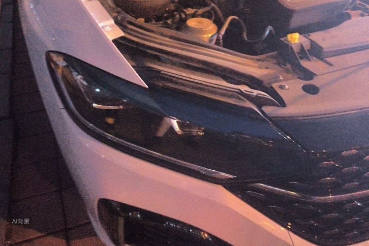 Volkswagen Lavida 2023 car image #8