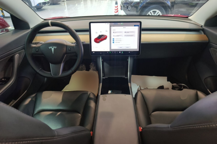 Tesla Model 3 2020 car image #10
