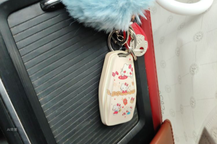 吉利汽车 缤瑞 2021 汽车图片 #10