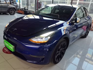 Tesla Model Y 2021 car image 