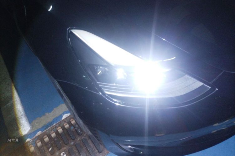Tesla Model 3 2021 #8 Tesla Model 3 2021 صورة سيارة #8