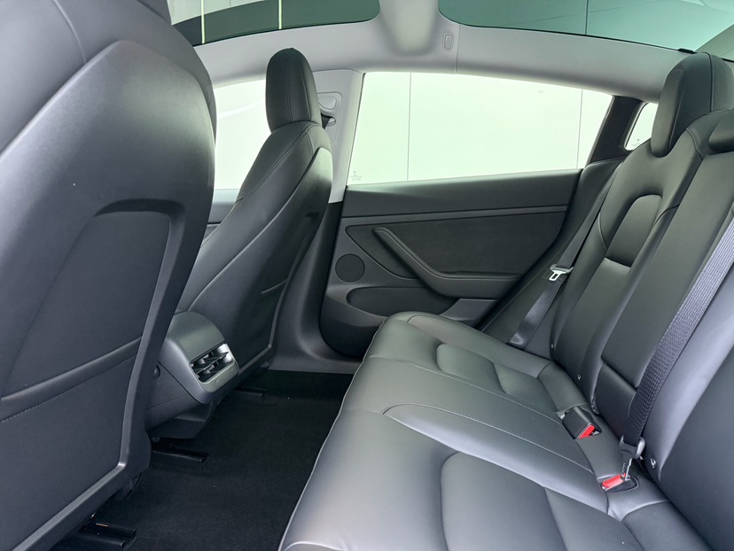 Tesla Model 3 2021 car image #5