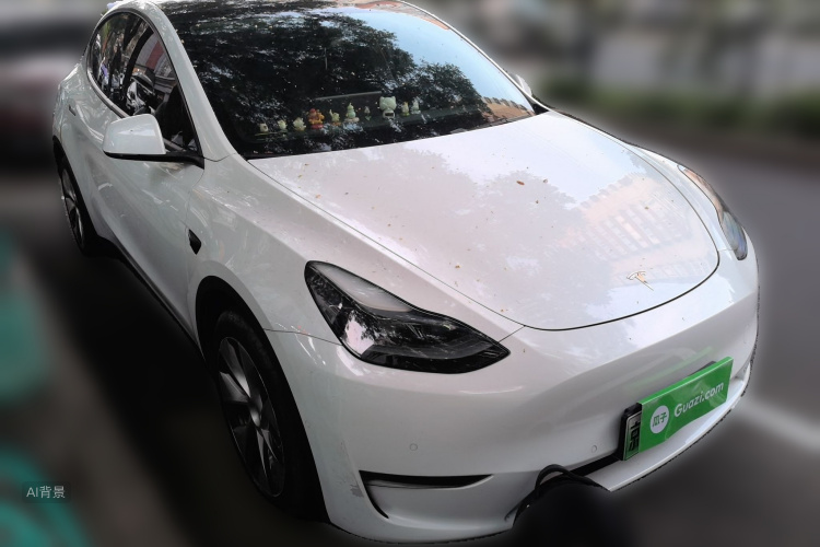 Tesla Model Y 2021 #4 Tesla Model Y 2021 car image #4