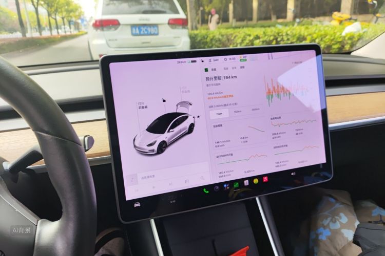 Tesla Model 3 2020 immagine di auto #13