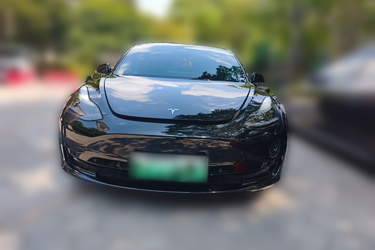 Tesla Model 3 2023 #3 Tesla Model 3 2023 car image #3