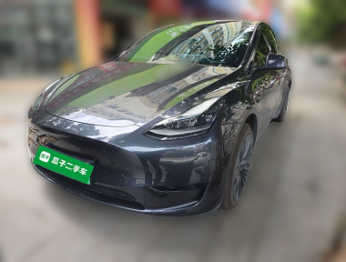 Tesla Model Y 2024 car image 