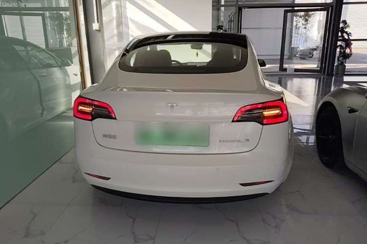 Tesla Model 3 2021 car image #6