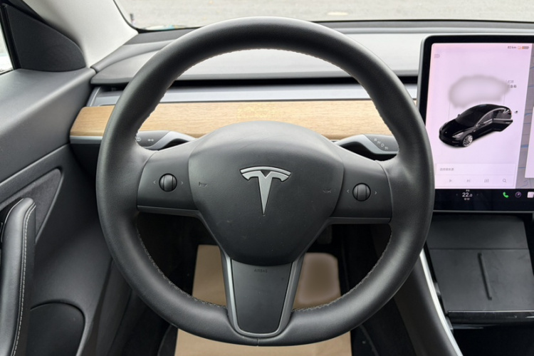 Tesla Model 3 2020 imagem de carro #11