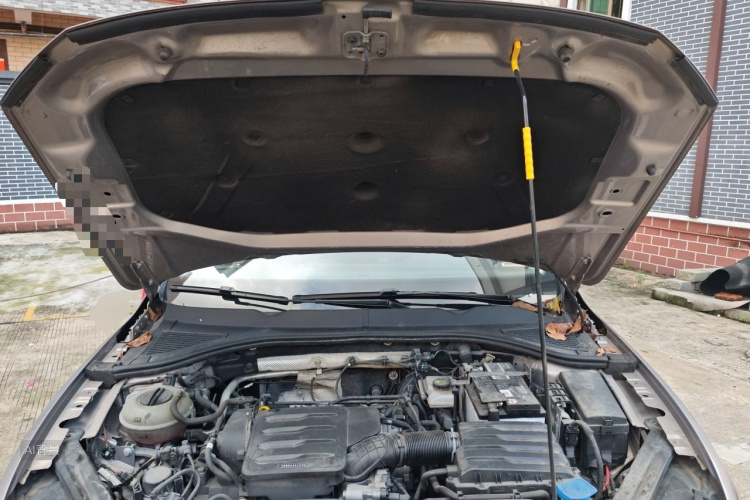 Volkswagen Bora 2019 immagine di auto #22