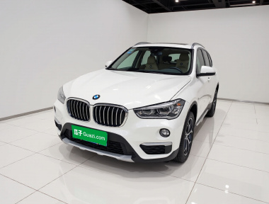 BMW X1 2019 car image 