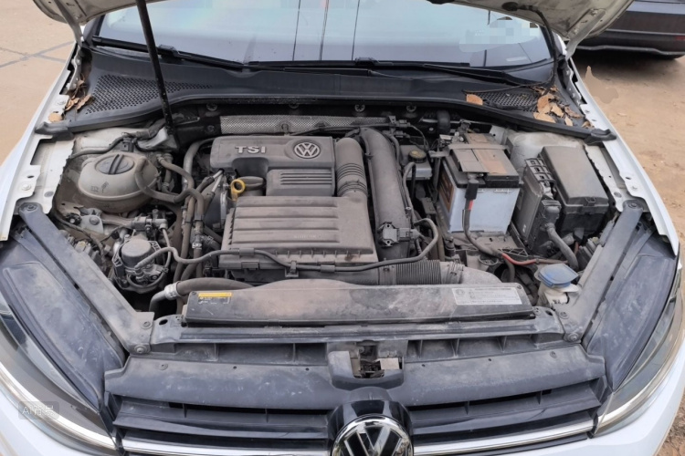 Volkswagen Golf 2019 car image #22